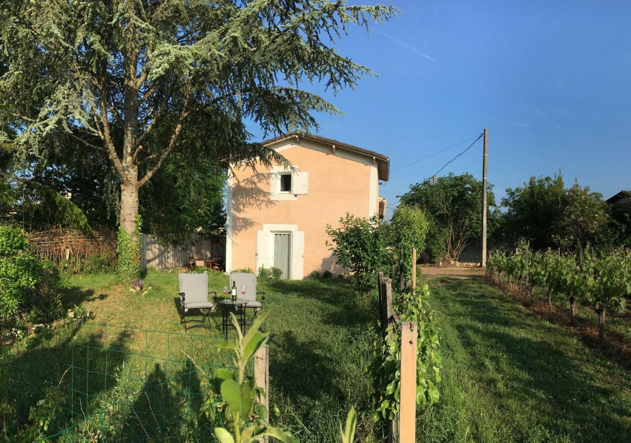 Apartamento Mirande Montagne-Saint Emilion Montagne  Exterior foto